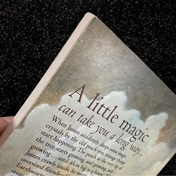 🌟
1996 Roald Dahl James & the GIANT Peach
 children chapter book Paperback - Picture 4 of 14